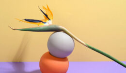 art4